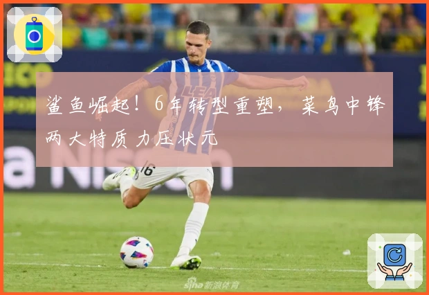 鲨鱼崛起！6年转型重塑，菜鸟中锋两大特质力压状元