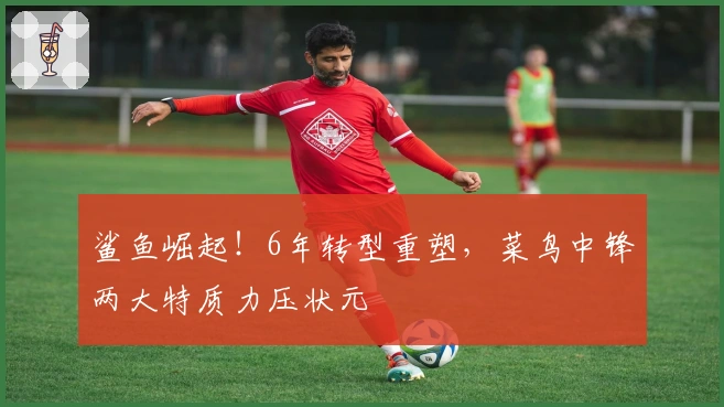 鲨鱼崛起！6年转型重塑，菜鸟中锋两大特质力压状元